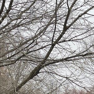 Meet your Posher, Shaunta